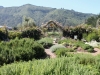 AIEarthbound.Farm.herb.garden2