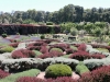 ALFiloli.knot.garden3