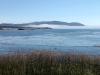 ANfog.MontereyBay