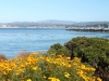AOMonterey.Bay.view