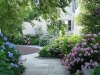 chanticleer-hydrangea-walk