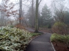 chanticleer-japanese-woods