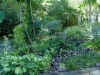 chanticleer-teacup-garden10-10