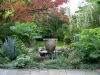 chanticleer-teacup-in-fall