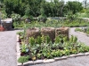 15Burpee.Kitchen.Garden