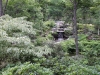 17Giles.Rhodo.Garden