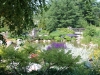 3Lerner.5Senses.pond.bridge