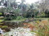 13McKee.pond