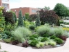 9osu-steven-still_-garden