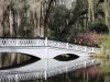 magnolia.bridge.jpg