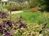 ginter-border