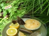 ginter-butterfly-fruit