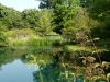 ginter-lakebridge