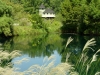 ginter-laketreehouse