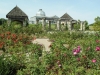 ginter-rose-garden2