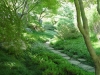 ginter-teahouse-garden