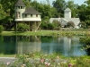 ginter-treehouse-roses-water