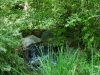 ginter-wooded-falls