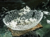 glass-water-vases2