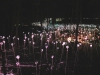 forest-of_-light_