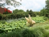 NJGrounds.lotus_.Carmelita
