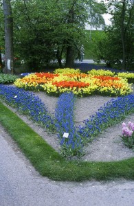 Bulbs can spell out and draw all kinds of things.