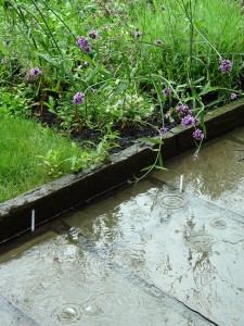 raindrops It never rains when you actually need it.