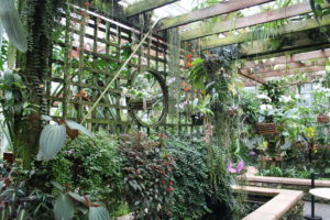 Fuqua Orchid Center within Atlanta Botanical Garden.