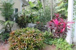 A courtyard garden next to the Harry P. Gardens pavilion.