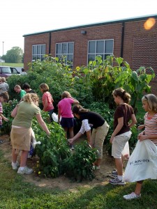 Mechanicsburg's Green Team hard at work in the garden.