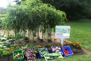 Plant a Row for the Hungry is a national program with roots reaching out locally to the Harrisburg area.