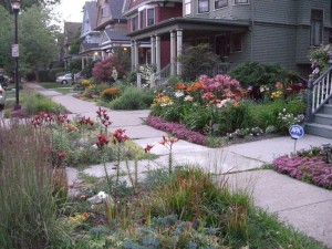 Lancaster Avenue