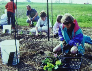 gardening.sunday.school