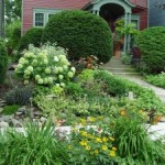 Blooming Neighbors