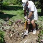 Transplantaphobia