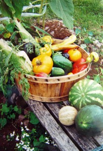 harvest.basket