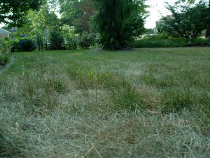 browning.lawn1