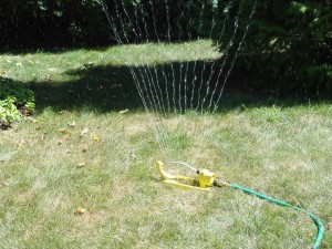 sprinkler.lawn2