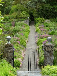glenveigh.perennials