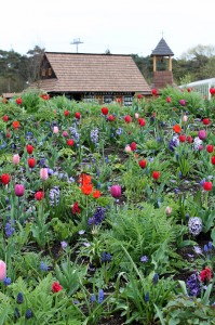 floriade12.bulb.display1