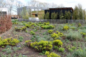 floriade12.sparse