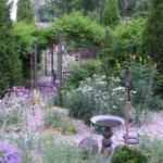 A No-Water Garden