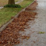 Ready for Sandy?