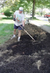 It's better to prepare whole beds for planting than individual holes.