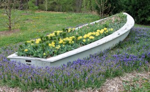 The recycled boat of bulbs.