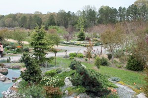 Brent and Becky's Chesapeake Bay Friendly Gardens.