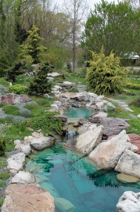 The Rock Garden.
