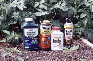 All kinds of important information are listed on product labels.