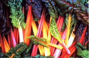 Chard