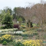 See Gardens with George in 2014
